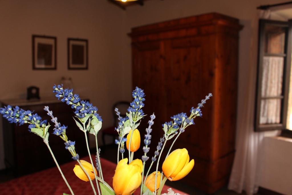 Villa Borgo Santinovo à Colle Val D'Elsa Extérieur photo